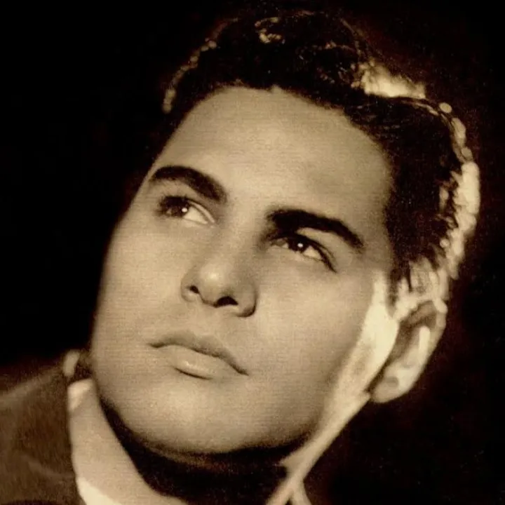 Imagen de perfil de Alfredo Sadel